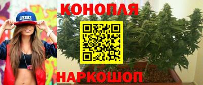 индика Можга