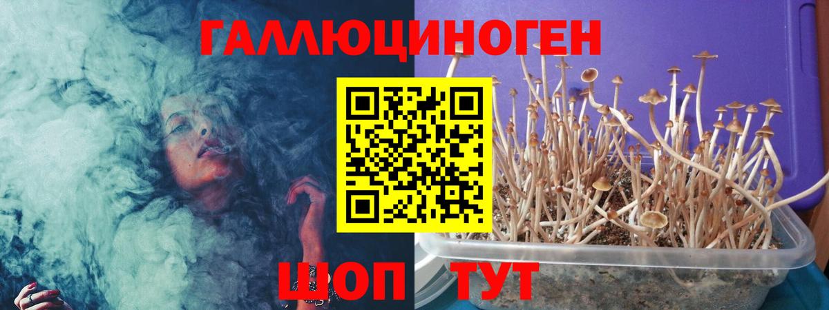 Туймазы  продажа наркотиков  Псилоцибиновые грибы ЛСД  Вход с VPN  Галлюциногенные грибы мицелий 